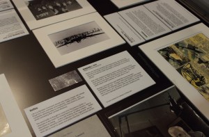 13oct-adamimport-183 copy